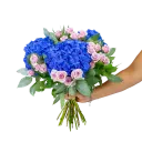 Bouquet of hydrangeas and spray roses